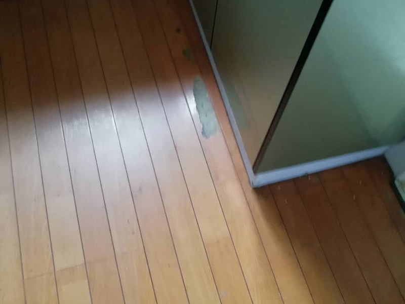 洛陽地板翻新要點，洛陽地板翻新條件